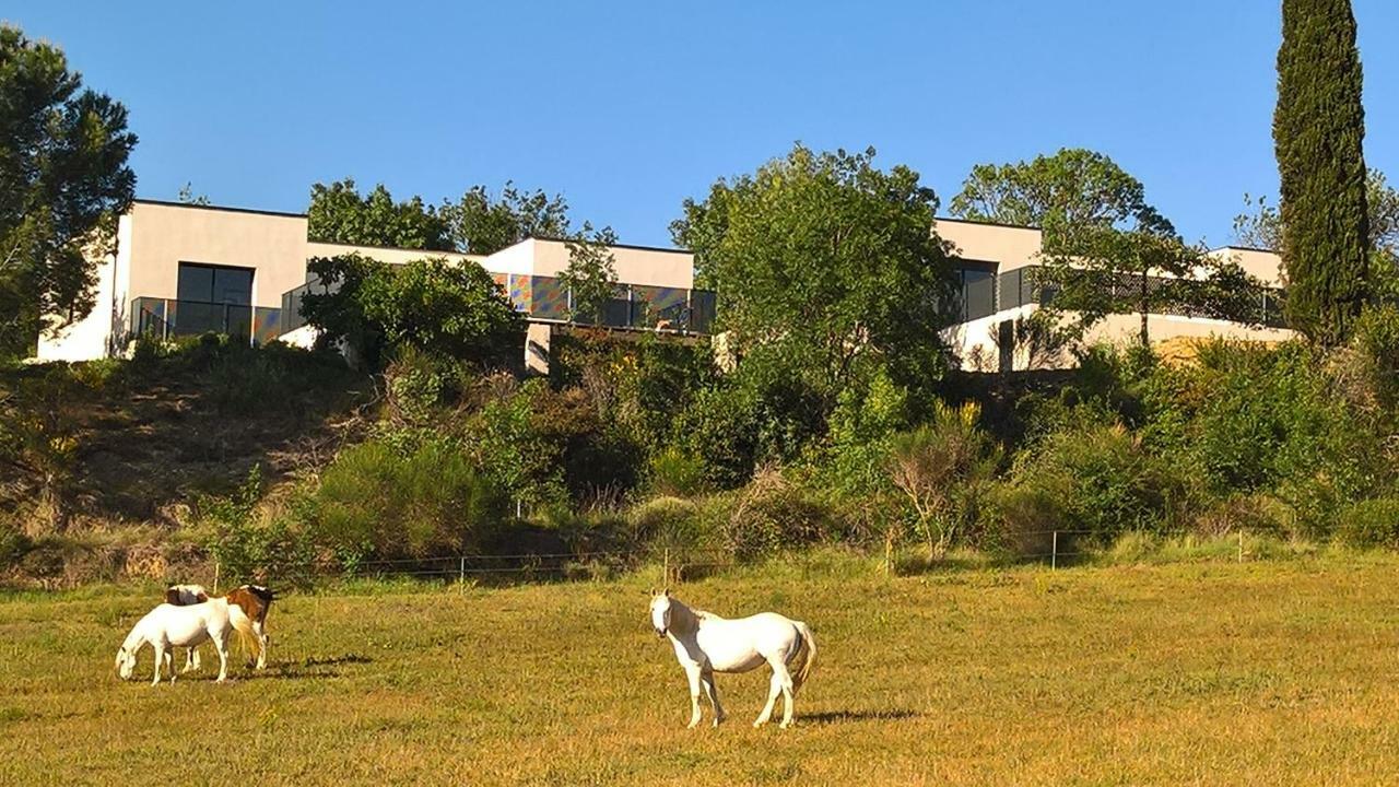 Villa Piscine Sud France Verzeille Exterior photo